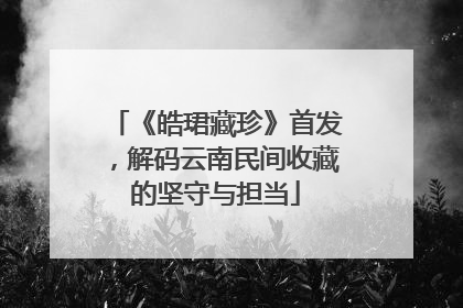 《皓珺藏珍》首发，解码云南民间收藏的坚守与担当