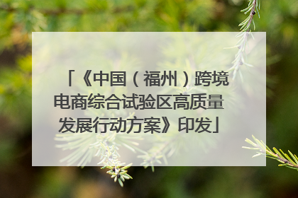 《中国（福州）跨境电商综合试验区高质量发展行动方案》印发