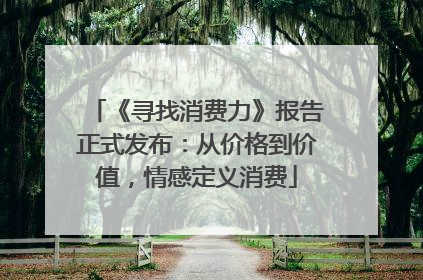 《寻找消费力》报告正式发布：从价格到价值，情感定义消费