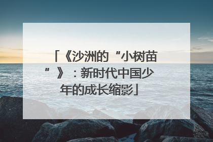 《沙洲的“小树苗”》：新时代中国少年的成长缩影
