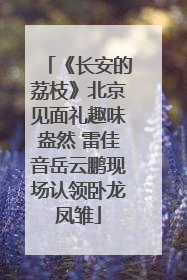 《长安的荔枝》北京见面礼趣味盎然 雷佳音岳云鹏现场认领卧龙凤雏
