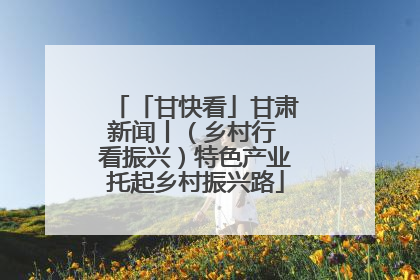 「甘快看」甘肃新闻丨（乡村行 看振兴）特色产业托起乡村振兴路