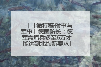 「微特稿·时事与军事」德国防长：德军需增兵多至6万才能达到北约新要求