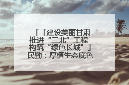 「建设美丽甘肃 推进“三北”工程 构筑“绿色长城”」民勤：厚植生态底色 筑牢绿色屏障