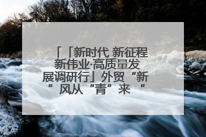 「新时代 新征程 新伟业·高质量发展调研行」外贸“新”风从“青”来 “双向奔赴”启新程