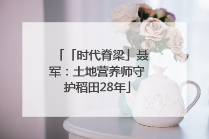 「时代脊梁」聂军：土地营养师守护稻田28年