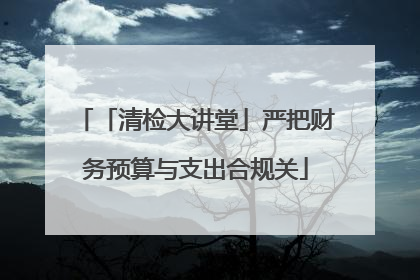 「清检大讲堂」严把财务预算与支出合规关