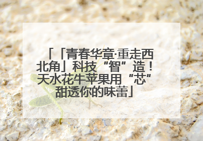 「青春华章·重走西北角」科技“智”造！天水花牛苹果用“芯”甜透你的味蕾
