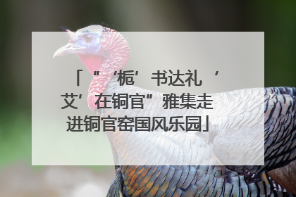 “‘栀’书达礼‘艾’在铜官”雅集走进铜官窑国风乐园
