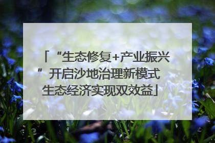 “生态修复+产业振兴”开启沙地治理新模式 生态经济实现双效益