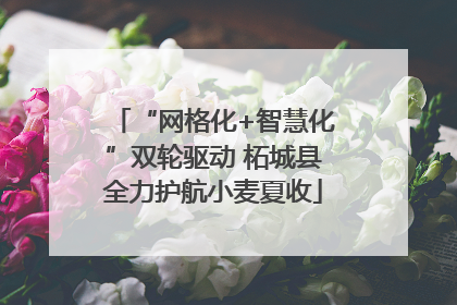 “网格化+智慧化”双轮驱动 柘城县全力护航小麦夏收