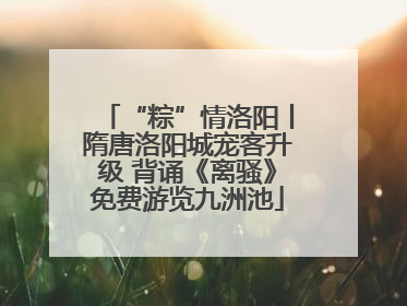 “粽”情洛阳丨隋唐洛阳城宠客升级 背诵《离骚》免费游览九洲池