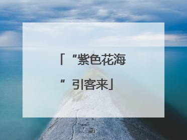 “紫色花海”引客来