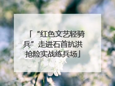 “红色文艺轻骑兵”走进石首抗洪抢险实战练兵场
