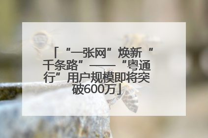 “一张网”焕新“千条路”——“粤通行”用户规模即将突破600万