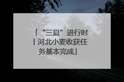 “三夏”进行时丨河北小麦收获任务基本完成