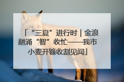 “三夏”进行时｜金浪翻涌“智”收忙——我市小麦开镰收割见闻
