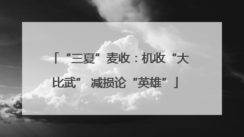 “三夏”麦收：机收“大比武” 减损论“英雄”