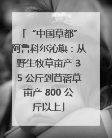 “中国草都” 阿鲁科尔沁旗：从野生牧草亩产 35 公斤到苜蓿草亩产 800 公斤以上