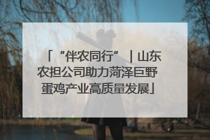 “伴农同行”｜山东农担公司助力菏泽巨野蛋鸡产业高质量发展
