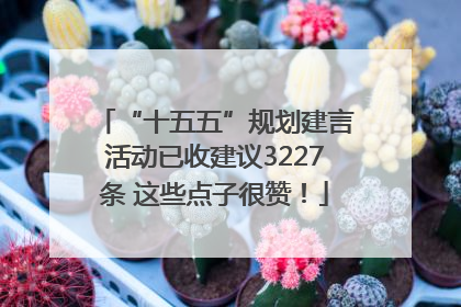 “十五五”规划建言活动已收建议3227条 这些点子很赞！
