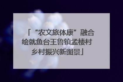 “农文旅体康”融合绘就鱼台王鲁镇孟楼村乡村振兴新图景