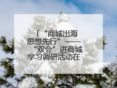 “商城出海 思想先行”——“双会”进商城学习调研活动在临沂顺利开展