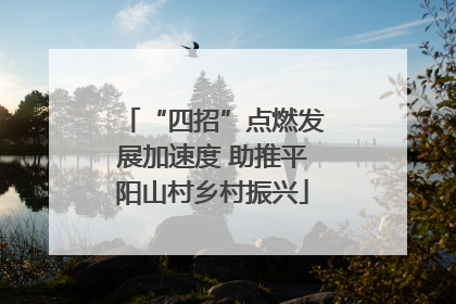 “四招”点燃发展加速度 助推平阳山村乡村振兴