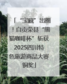 “宝藏”出圈！自贡荣县“熊猫咖啡杯”斩获2025四川特色旅游商品大赛铜奖