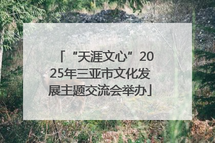 “天涯文心”2025年三亚市文化发展主题交流会举办