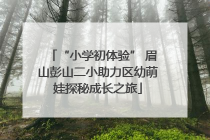 “小学初体验” 眉山彭山二小助力区幼萌娃探秘成长之旅