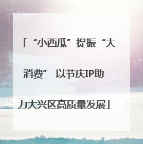“小西瓜”提振“大消费” 以节庆IP助力大兴区高质量发展