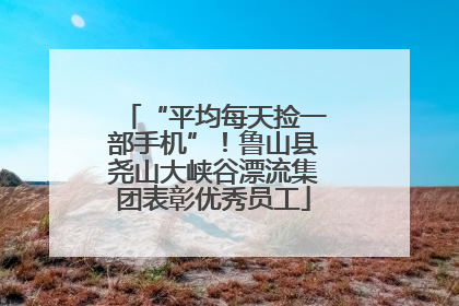 “平均每天捡一部手机”！鲁山县尧山大峡谷漂流集团表彰优秀员工