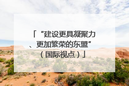 “建设更具凝聚力、更加繁荣的东盟”（国际视点）