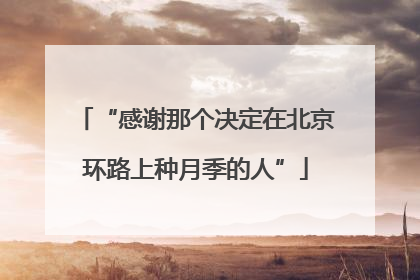 “感谢那个决定在北京环路上种月季的人”