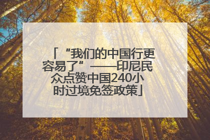 “我们的中国行更容易了”——印尼民众点赞中国240小时过境免签政策