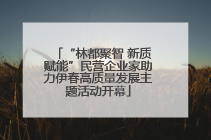 “林都聚智 新质赋能”民营企业家助力伊春高质量发展主题活动开幕