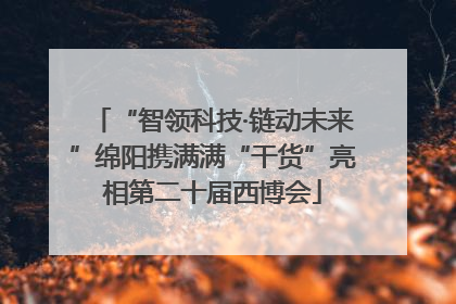 “智领科技·链动未来”绵阳携满满“干货”亮相第二十届西博会