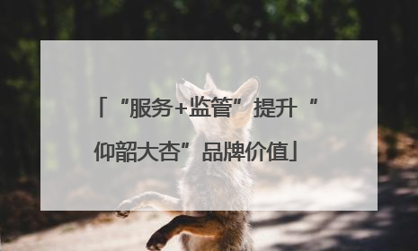 “服务+监管”提升“仰韶大杏”品牌价值