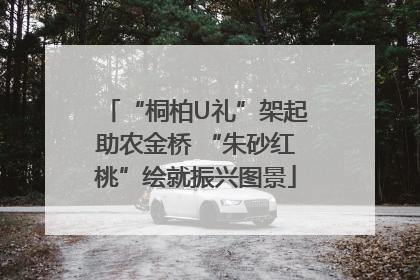 “桐柏U礼”架起助农金桥 “朱砂红桃”绘就振兴图景