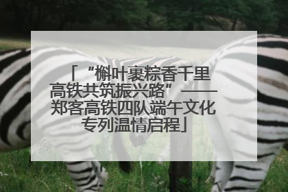 “槲叶裹粽香千里 高铁共筑振兴路”——郑客高铁四队端午文化专列温情启程