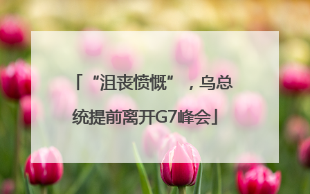 “沮丧愤慨”，乌总统提前离开G7峰会