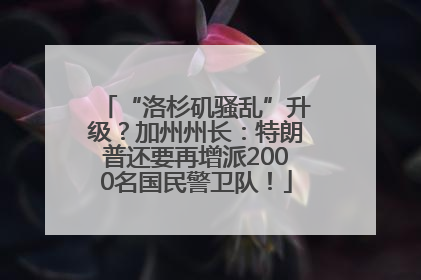 “洛杉矶骚乱”升级？加州州长：特朗普还要再增派2000名国民警卫队！
