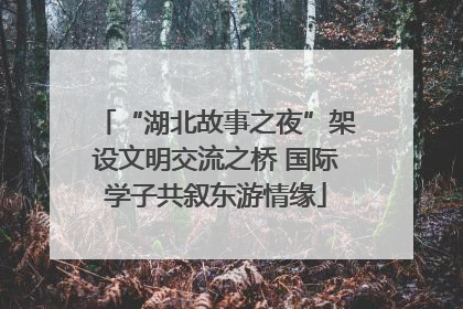 “湖北故事之夜”架设文明交流之桥 国际学子共叙东游情缘