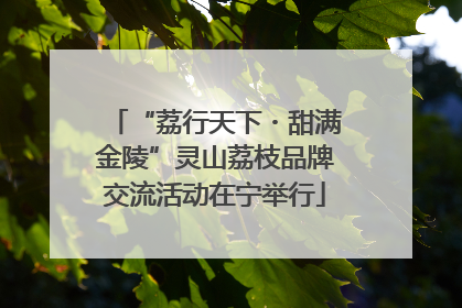 “荔行天下・甜满金陵”灵山荔枝品牌交流活动在宁举行