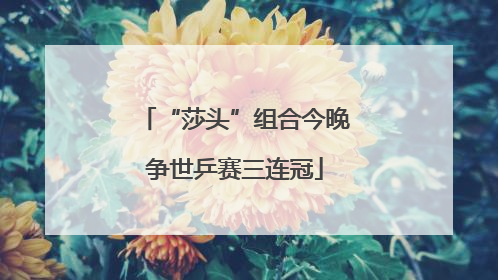 “莎头”组合今晚争世乒赛三连冠