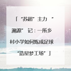 “苏超”主力 “溯源” 记：一所乡村小学如何炼成足球 “造星梦工场”