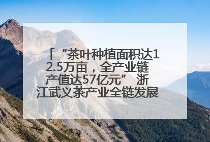 “茶叶种植面积达12.5万亩，全产业链产值达57亿元” 浙江武义茶产业全链发展“加速度”