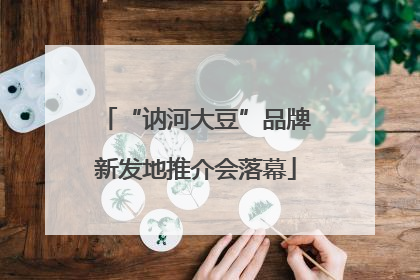 “讷河大豆”品牌新发地推介会落幕