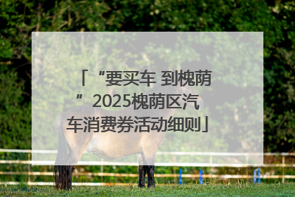 “要买车 到槐荫”2025槐荫区汽车消费券活动细则